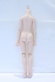 画像2: MDD/一体型アセクシャルボディ S-26-01-04-001-YB-ZS (2)