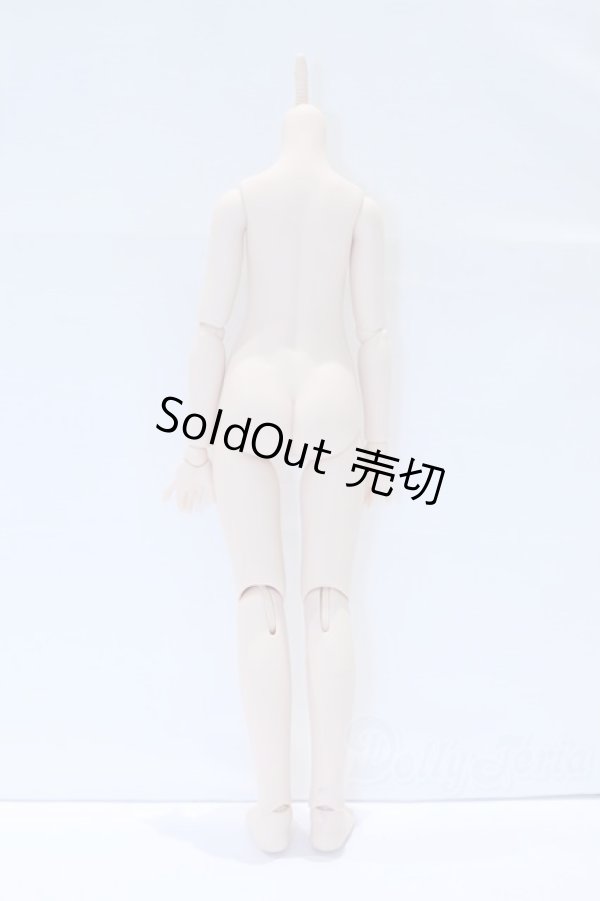 画像2: MDD/一体型アセクシャルボディ S-26-01-04-001-YB-ZS (2)