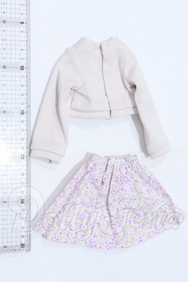 画像2: MDD/OF:衣装セット S-26-03-15-077-SK-ZS (2)