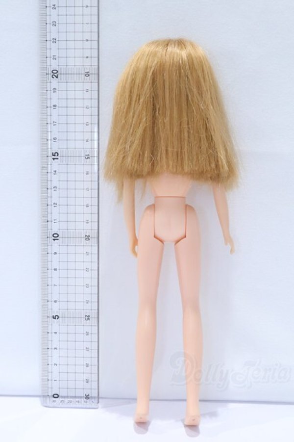 画像5: リカちゃん/リカちゃん S-26-01-11-013-SK-ZS (5)