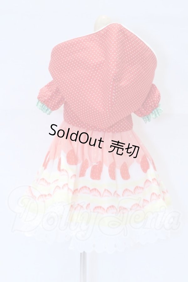 画像3: MDD/OF:衣装セット S-26-04-05-069-SK-ZS (3)