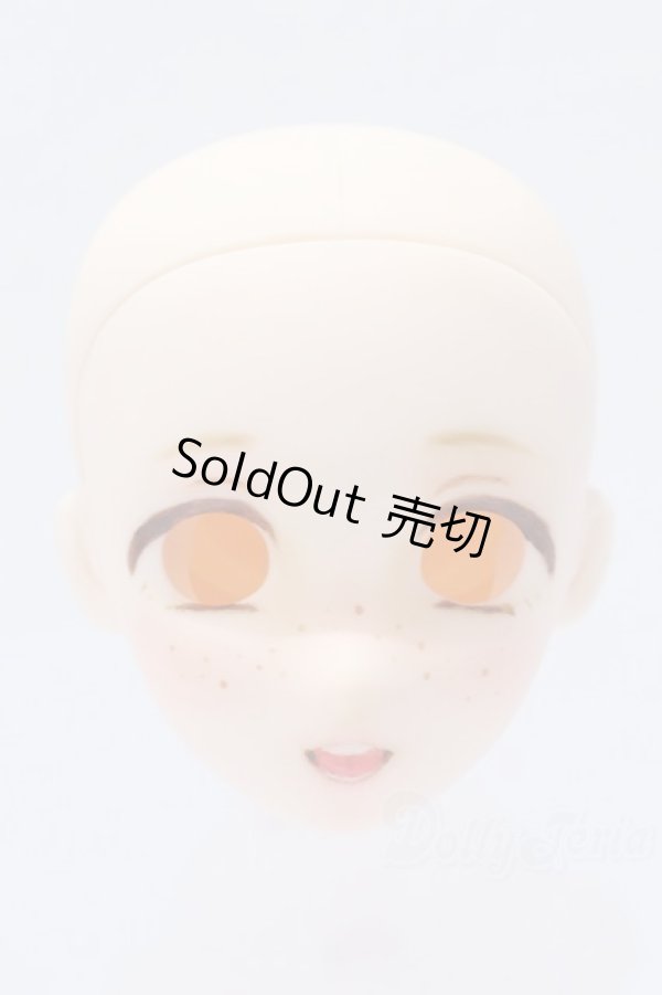 画像1: オビツ製/OBT　FR-01ヘッド　1/6サイズ S-26-01-18-066-SK-ZS (1)