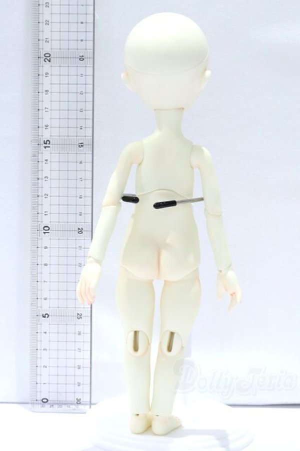 画像6: neo angelregion imda2.2/petite Fepe S-26-01-18-053-SK-ZS (6)