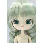 画像: ダル/金糸雀 S-26-01-18-057-SK-ZS