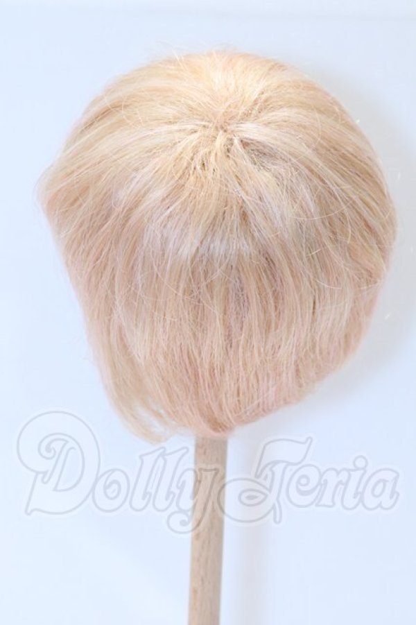 画像2: 9-10inch/ウィッグ S-26-04-19-015-SK-ZS (2)