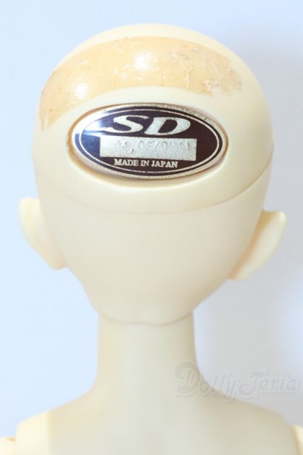 画像4: SDC女の子/楓 S-26-01-18-051-SK-ZS (4)