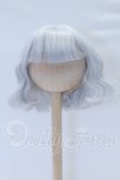 画像1: 7-8inch/ウィッグ S-26-03-29-039-SK-ZS (1)