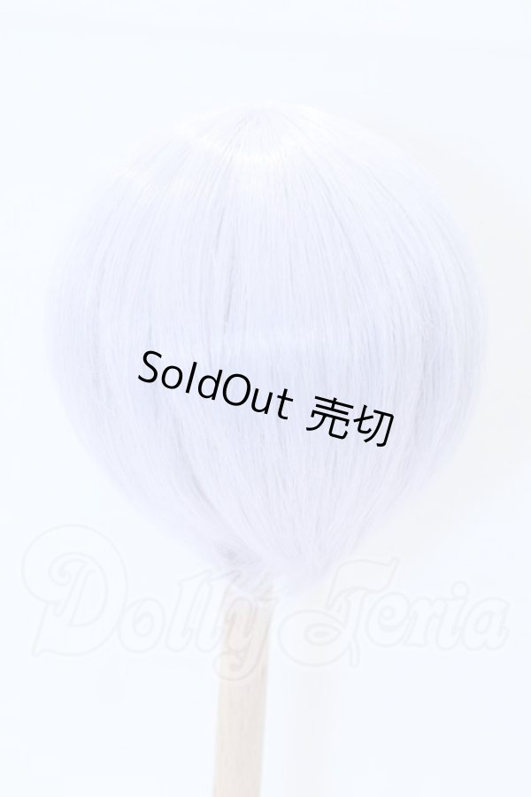 画像2: 9inch/ウィッグ S-26-04-19-016-SK-ZS (2)