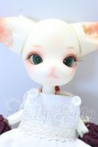 画像2: DOLK x Doll Zone/Mini Kitty S-26-10-25-019-YB-ZS (2)