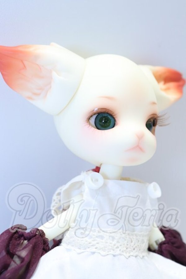 画像4: DOLK x Doll Zone/Mini Kitty S-26-10-25-019-YB-ZS (4)
