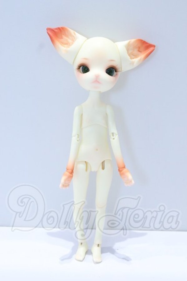 画像7: DOLK x Doll Zone/Mini Kitty S-26-10-25-019-YB-ZS (7)