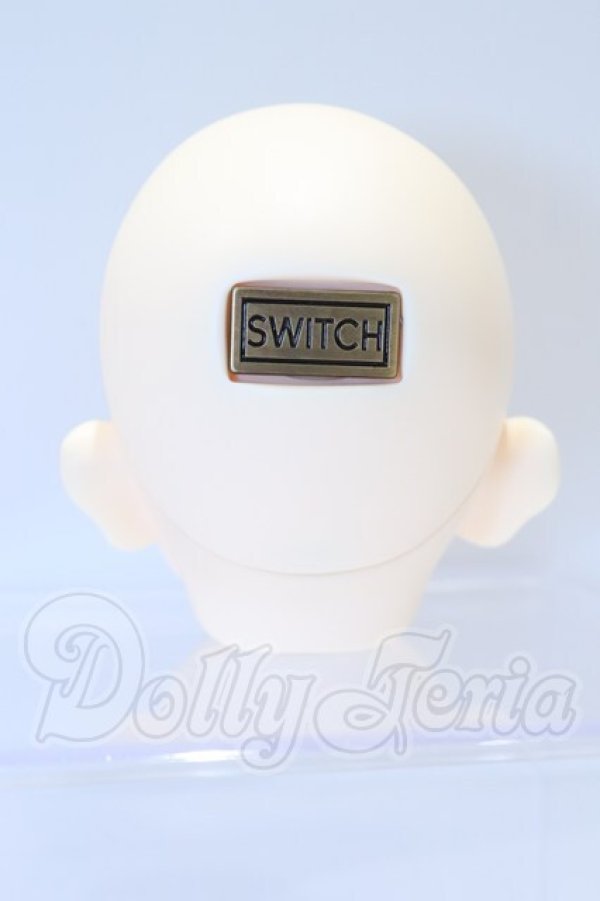 画像4: SWITCH/WUJIN Head S-26-05-17-066-YB-ZS (4)
