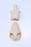 画像1: MDD/上半身・下半身パーツ S-26-02-08-021-SK-ZS (1)