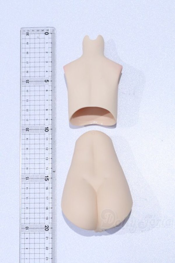 画像2: MDD/上半身・下半身パーツ S-26-02-08-021-SK-ZS (2)