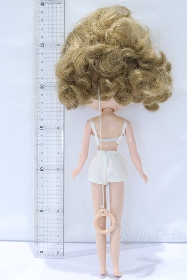 画像6: ネオブライス/本体 S-26-02-08-010-SK-ZS (6)