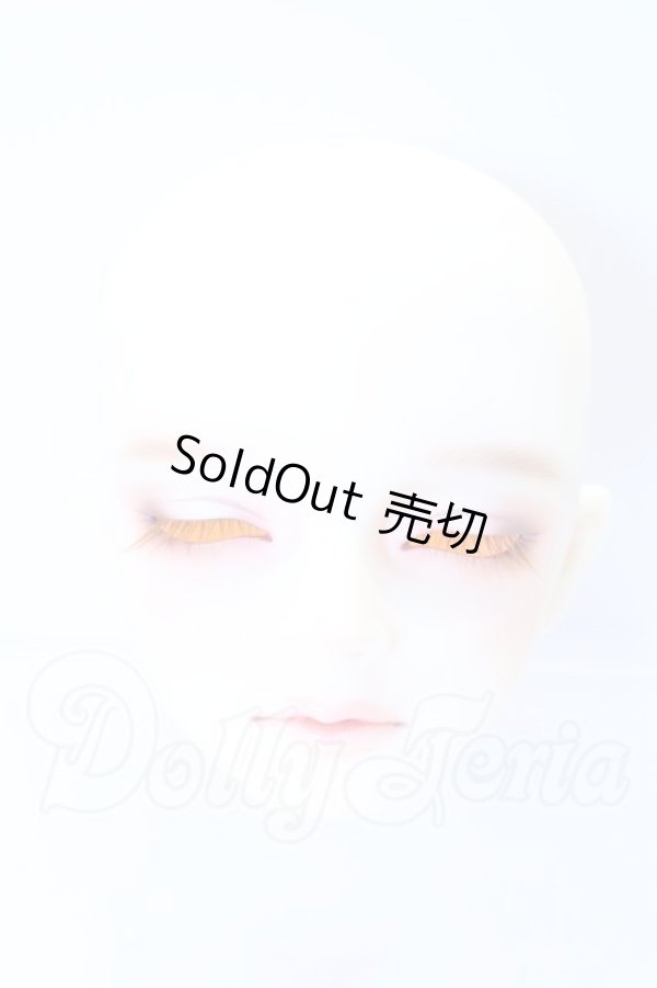 画像1: SDGr/アーニー 星間学寮ver.ヘッド S-26-02-15-007-SK-ZS (1)