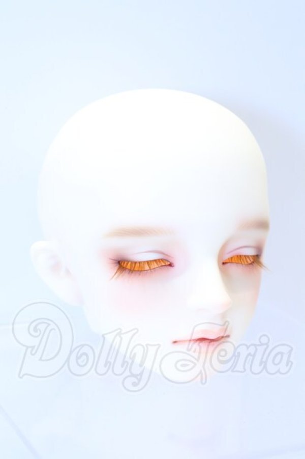 画像2: SDGr/アーニー 星間学寮ver.ヘッド S-26-02-15-007-SK-ZS (2)