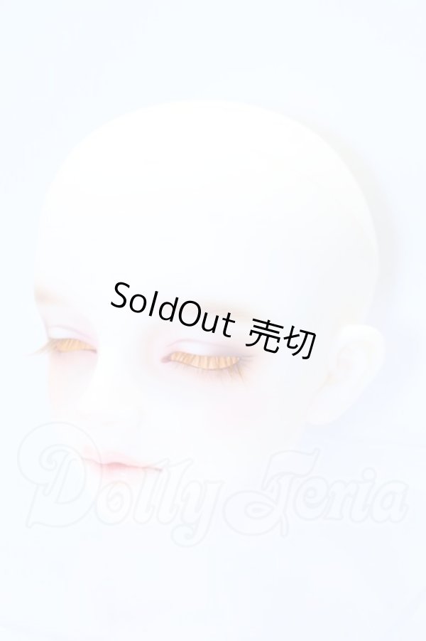 画像3: SDGr/アーニー 星間学寮ver.ヘッド S-26-02-15-007-SK-ZS (3)