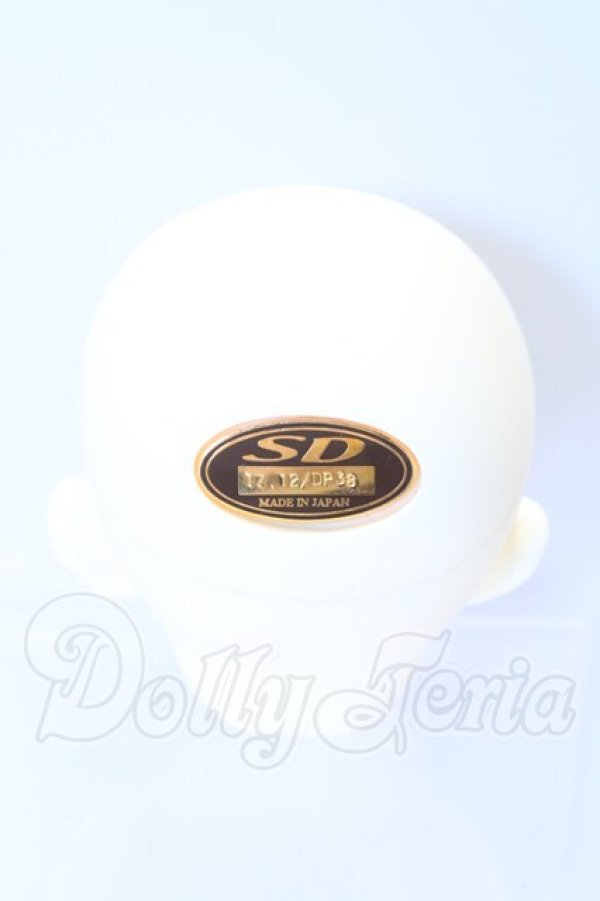 画像4: SDGr/アーニー 星間学寮ver.ヘッド S-26-02-15-007-SK-ZS (4)