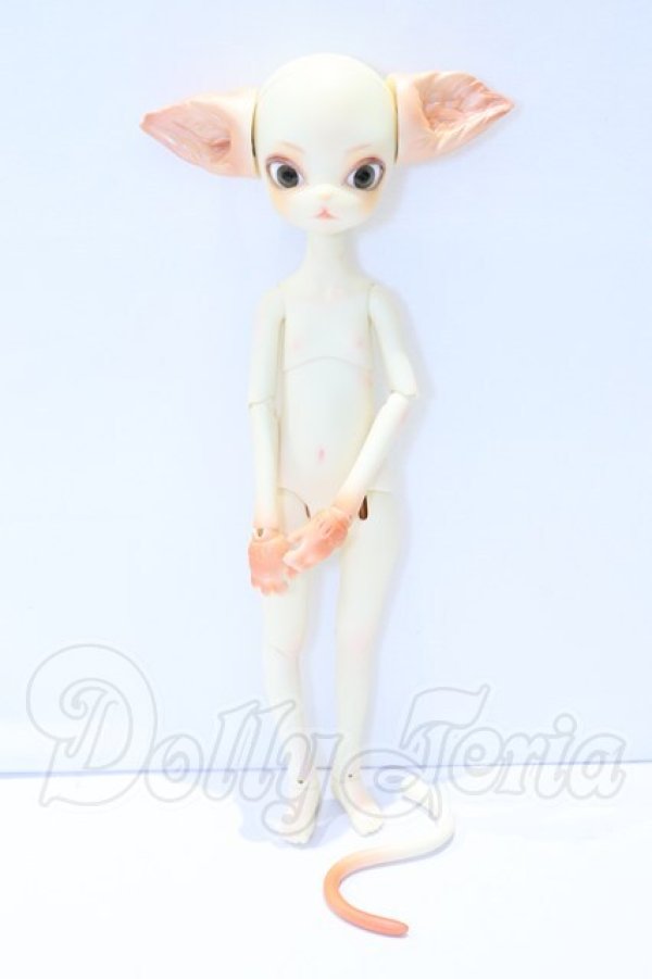 画像4: DOLL ZONE/Miss Kitty S-26-02-15-005-SK-ZS (4)