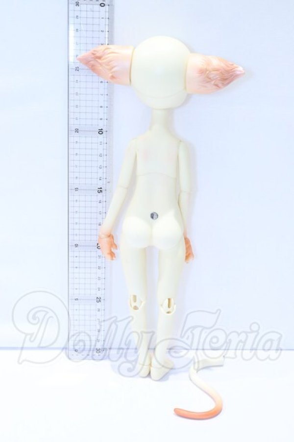 画像5: DOLL ZONE/Miss Kitty S-26-02-15-005-SK-ZS (5)