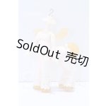 画像: ANTU/ボディ S-26-02-22-009-SK-ZS