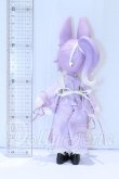 画像3: 不可食用人形 Inedible Doll/月飛び時間シリーズ丁香 S-26-05-03-091-SK-ZS (3)