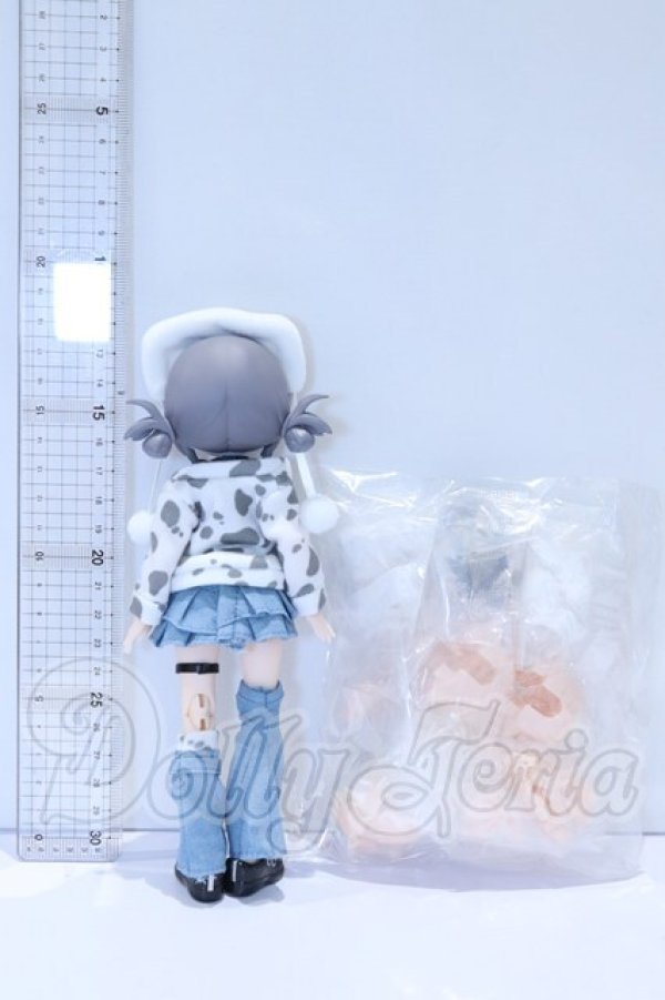 画像3: WELCOME GIRLS/デジタルペットの仮想世界:シーラカンス幻想 S-26-03-29-078-SK-ZS (3)