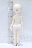 画像5: MYOUDOLL/1/6 Delia S-26-08-09-052-SK-ZS (5)