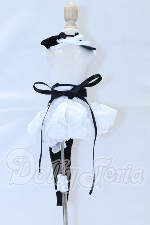 画像3: MDD/OF:衣装セット S-26-04-26-039-SK-ZS (3)