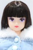 画像1: リカちゃんキャッスル/フローラ S-26-06-28-011-YB-ZS (1)