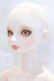 画像2: VISUADOLL/葵木 空 Basic S-26-08-02-052-YB-ZS (2)
