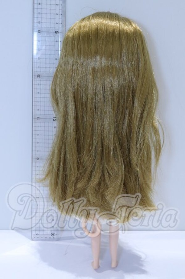 画像6: ネオブライス/テーラーギブソン S-26-03-22-054-YB-ZS (6)