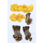 画像: ウェフティングなど S-26-03-22-065-YB-ZS