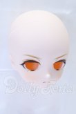 画像2: DDSB/DDH-28　男の子メイクヘッド(ドリームチョイス/ボークス) S-26-05-10-054-YB-ZS (2)