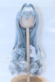 画像1: 7-8inch/ウィッグ S-26-05-03-098-SK-ZS (1)
