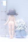 画像3: WELCOME GIRLS/デジタルペットの仮想世界:シーラカンス幻想 S-26-05-31-091-SK-ZS (3)