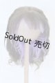 画像: 8-9inch/ウィッグ S-26-10-11-559-SK-ZS