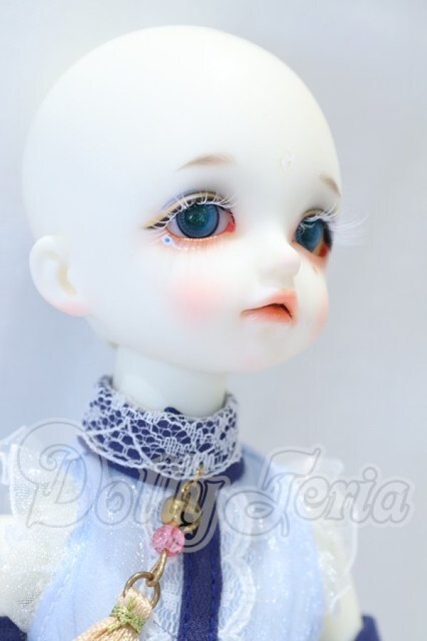 画像4: Gem of Doll/Abner S-26-09-06-003-SK-ZS (4)