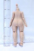 画像2: IMOMODOLL/1/6 Body 冬瓜体 S-26-10-11-054-SK-ZS (2)