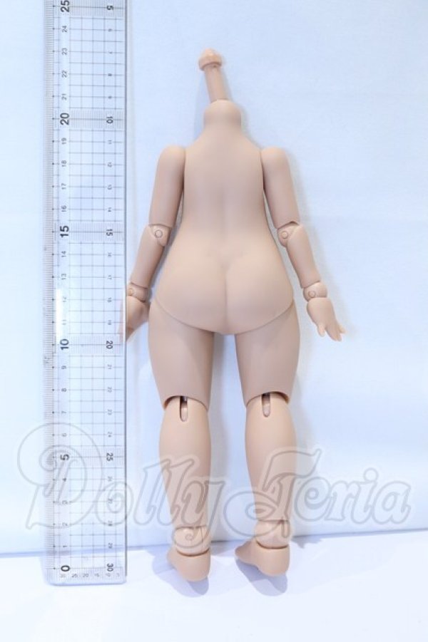 画像2: IMOMODOLL/1/6 Body 冬瓜体 S-26-10-11-054-SK-ZS (2)