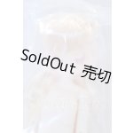 画像: OIOI Studio/変身☆電気街 シークレット フィナ S-26-05-17-010-SK-ZS