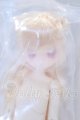 画像: OIOI Studio/変身☆電気街 シークレット フィナ S-26-05-17-010-SK-ZS