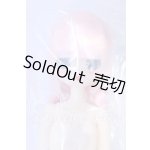 画像: OIOI Studio/変身☆電気街 S-26-05-10-013-SK-ZS