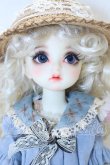 画像1: Gem of Doll/Debby S-26-09-06-002-SK-ZS (1)