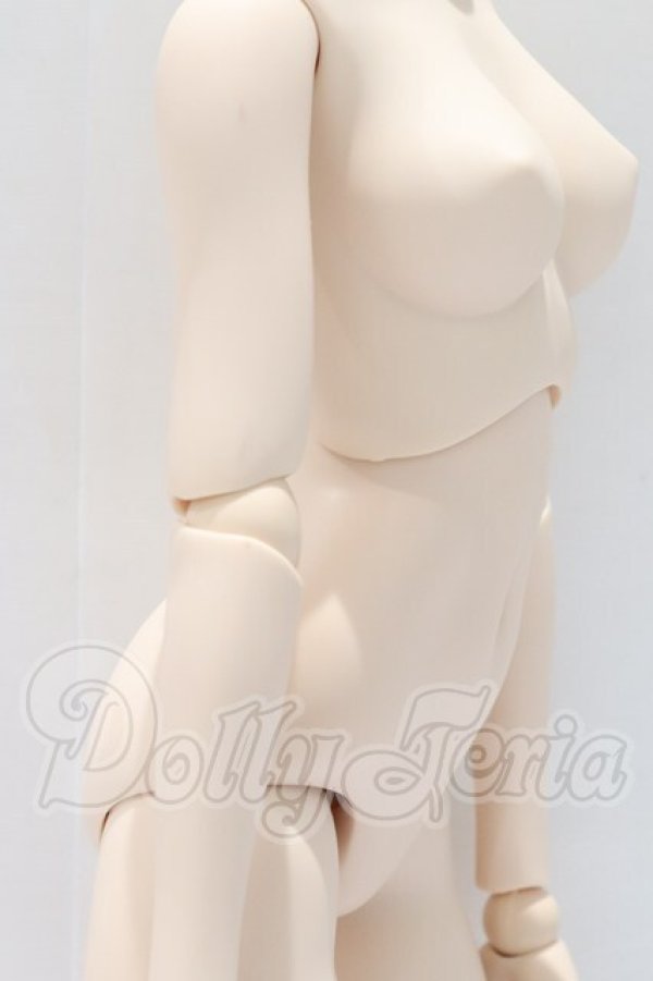 画像3: DD/ベースボディIII S-26-04-26-067-SK-ZS (3)