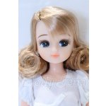 画像: リカちゃん/2009年度版クリスマス リカちゃんモデル S-26-07-19-069-SK-ZS