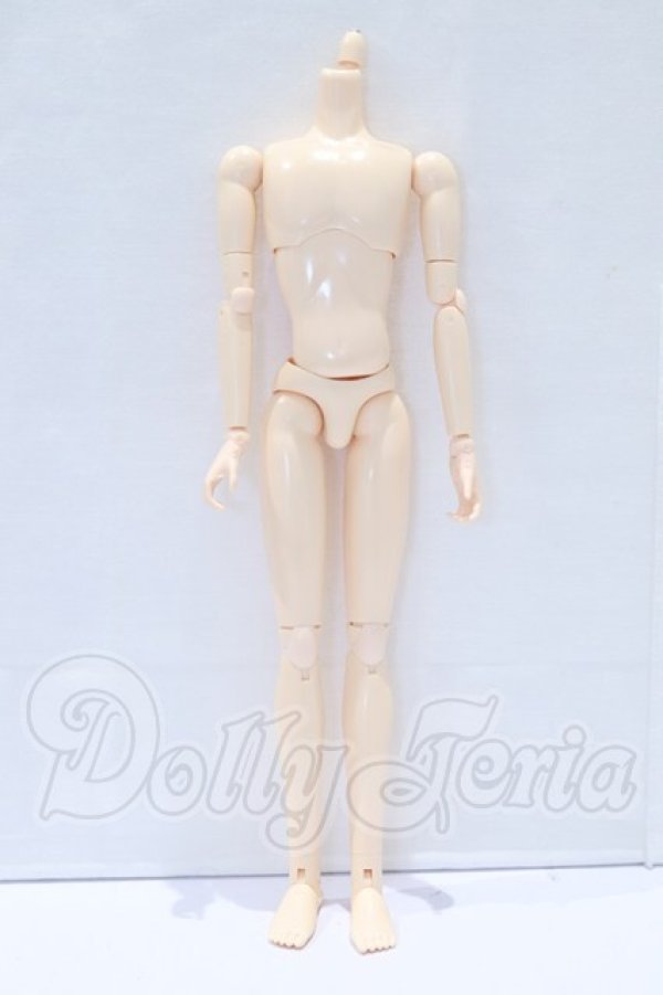 画像1: オビツ27ｃｍ/男性ボディ・スリムタイプ S-26-05-03-016-SK-ZS (1)