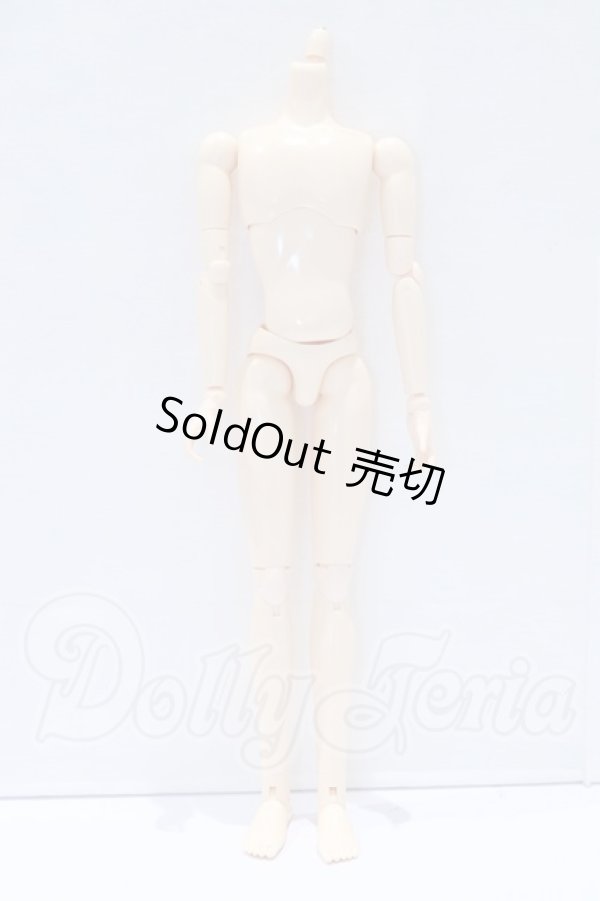 画像1: オビツ27ｃｍ/男性ボディ・スリムタイプ S-26-07-12-380-SK-ZS (1)