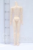 画像2: オビツ27ｃｍ/男性ボディ・スリムタイプ S-26-05-03-016-SK-ZS (2)